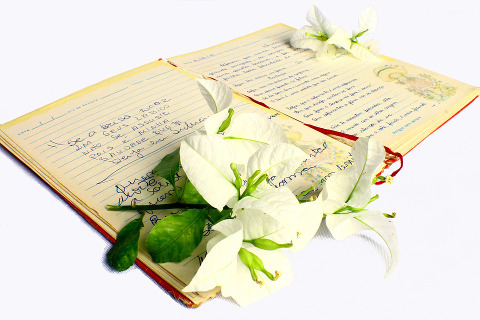 quaderno di poesie con fiori poggiati sopra