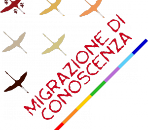 Logo del progetto Migrazione di conoscenza