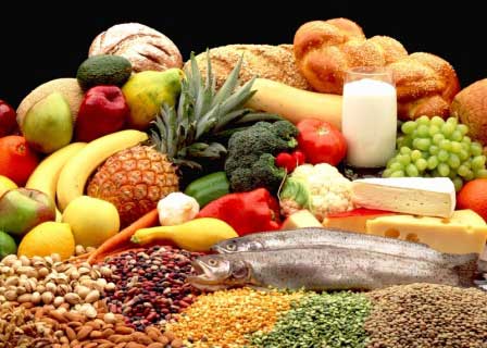 cibo - alimentazione