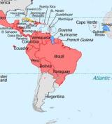 zika virus in brasile