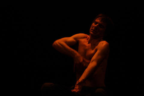 Domenico Cucinotta in Inossidabile miele
