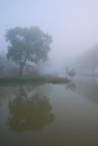 brume