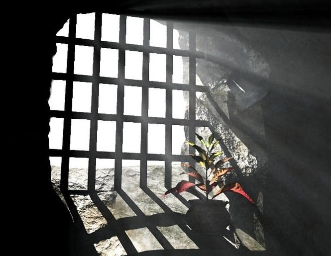 pianta in carcere