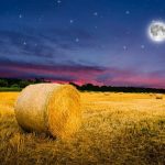 A Sciara (PA) la “Notte dell’Agricoltura”: dibattiti, mostre, degustazioni